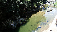 p8100111_thumb.jpg