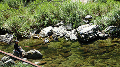 p8100114_thumb.jpg