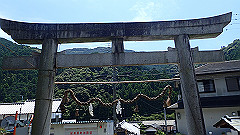 p8100118_thumb.jpg