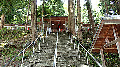p8100121_thumb.jpg
