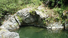 p8100136_thumb.jpg
