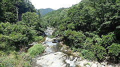 p8100138_thumb.jpg