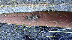 p8100158_thumb.jpg
