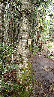 p8210386_thumb.jpg