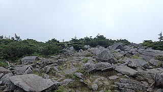 p8210440_thumb.jpg