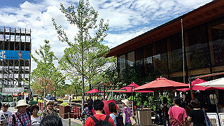 img_5786_thumb.jpg
