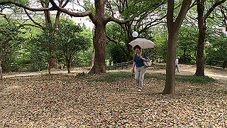 img_5802_thumb.jpg