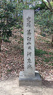 img_5803_thumb.jpg