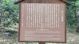 img_5804_thumb.jpg