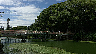 img_5807_thumb.jpg