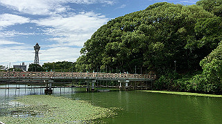 img_5808_thumb.jpg