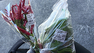 img_5860_thumb.jpg
