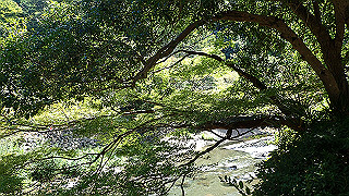 p8310672_thumb.jpg