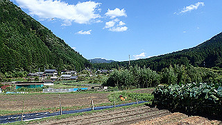 p8310684_thumb.jpg