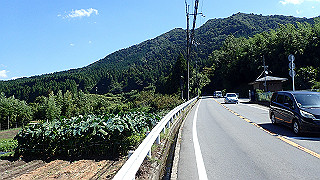 p8310685_thumb.jpg