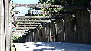 p8310686_thumb.jpg