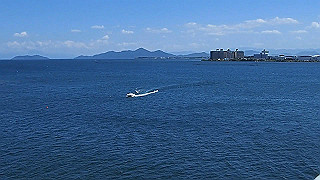 p8310711_x264.mp4_thumb.jpg