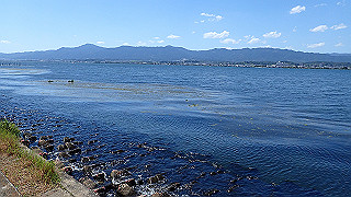 p8310727_thumb.jpg