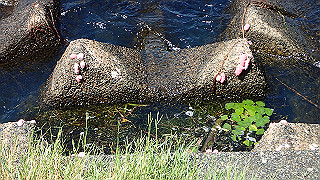 p8310728_thumb.jpg