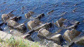 p8310729_thumb.jpg