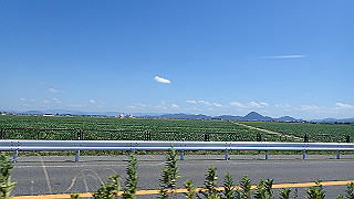 p8310738_thumb.jpg