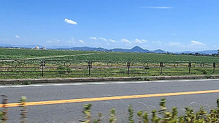 p8310739_x264.mp4_thumb.jpg