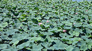 p8310748_thumb.jpg