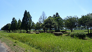 p8310754_thumb.jpg