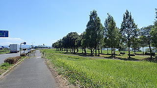 p8310755_thumb.jpg