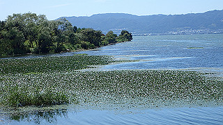 p8310761_thumb.jpg