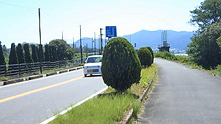 p8310769_x264.mp4_thumb.jpg