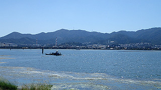 p8310784_thumb.jpg