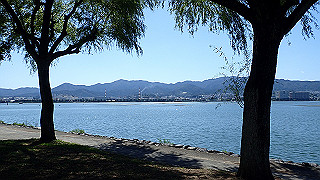 p8310787_thumb.jpg
