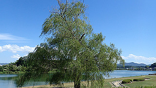p8310808_thumb.jpg