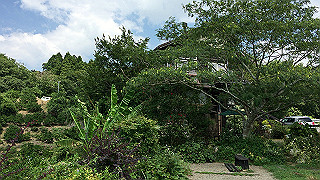 img_5884_thumb.jpg