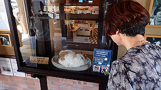 p9020819_thumb.jpg