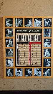 p9020821_thumb.jpg