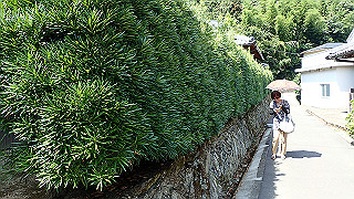 p9020840_thumb.jpg