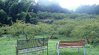 p9020870_thumb.jpg
