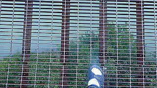 p9020887_thumb.jpg
