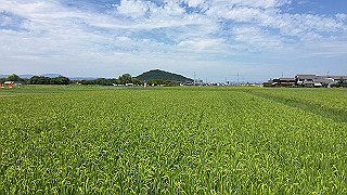 img_5943_thumb.jpg