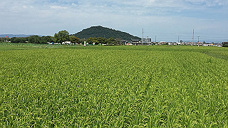 img_5944_thumb.jpg