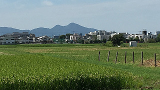 img_5947_thumb.jpg