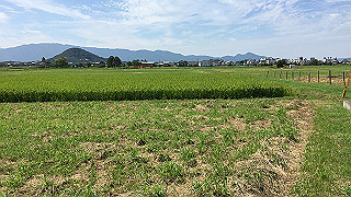img_5948_thumb.jpg