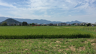 img_5949_thumb.jpg