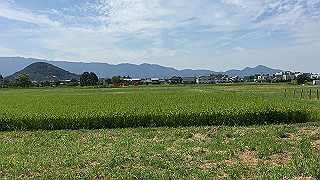 img_5950_thumb.jpg
