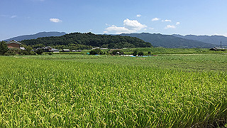 img_5951_thumb.jpg