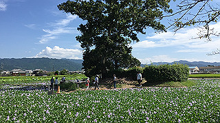 img_5958_thumb.jpg