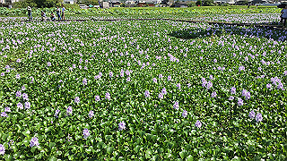 img_5960_thumb.jpg