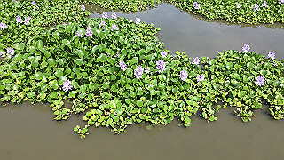 img_5961_thumb.jpg